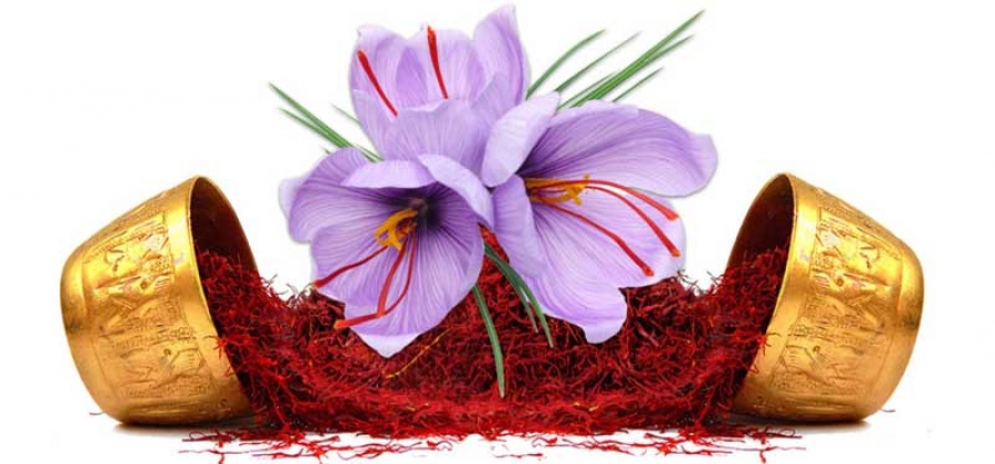 نمایشگاه گیاهان دارویی و زعفران کشور ـ تهران