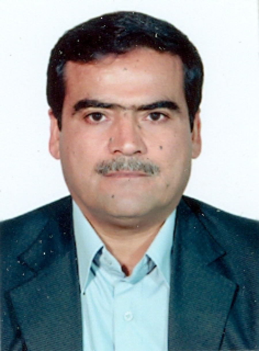 مهدی هادی زاده