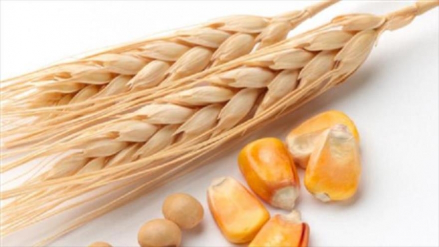 ممنوعیت صادرات برخی کالاهای کشاورزی