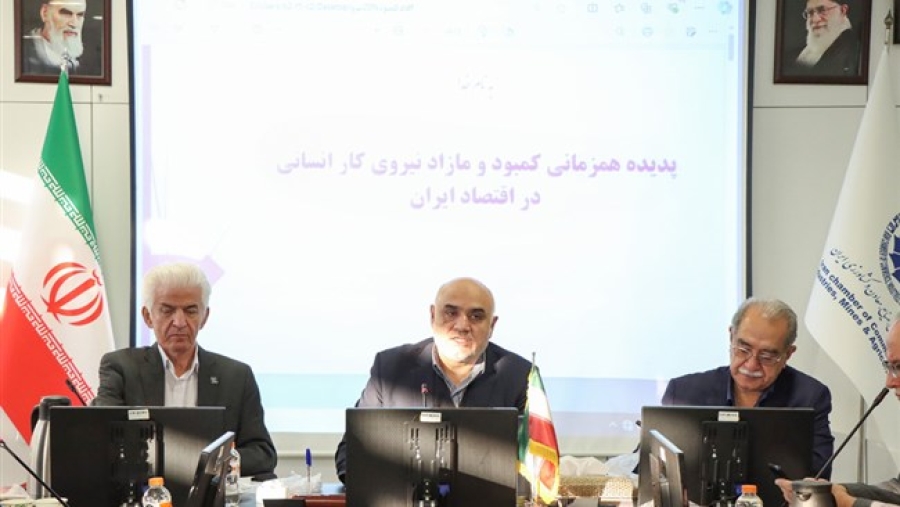 محمود تولایی: نیروی کار مهاجر در ایران باید ساماندهی شود