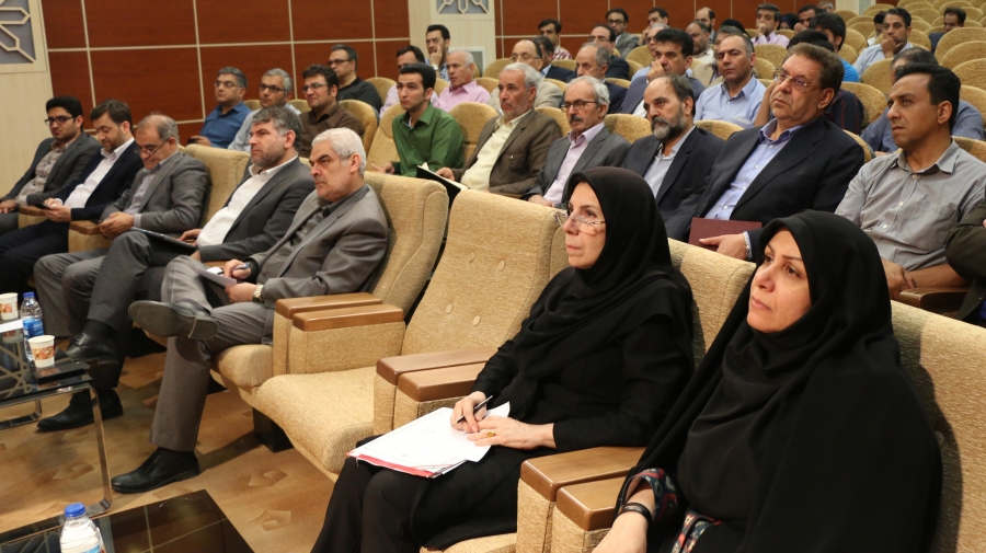 محمود تولائی: صنایع بالادستی باید کمک حال صنایع پایین دستی شود.